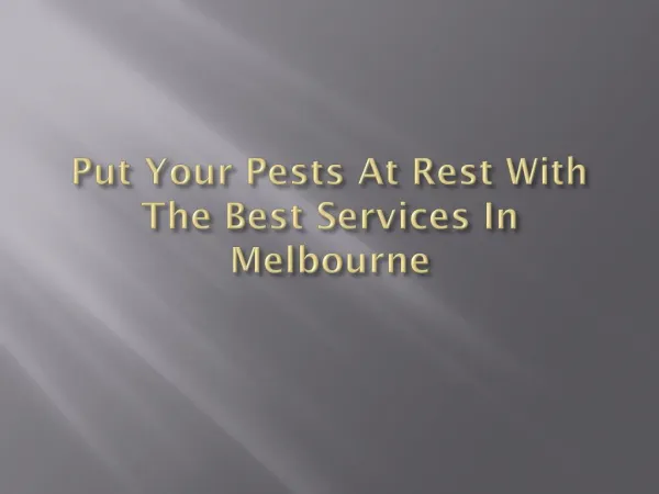 Put Your Pests At Rest With The Best Services In Melbourne