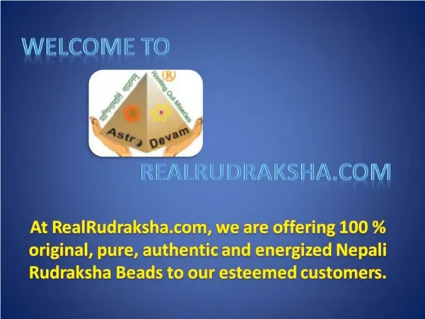 100% Natutal Nepali Real Rudraksha and Lab Certified Rudraksha Beads