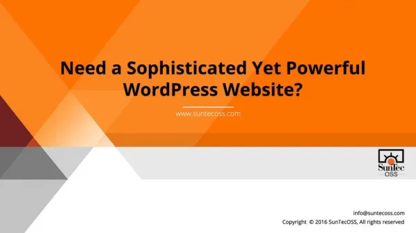 Need a Sophisticated Yet Powerful WordPress Website?