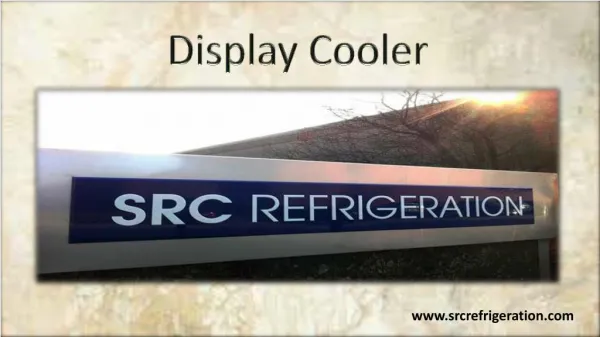 Durable & Stylish Display Cooler