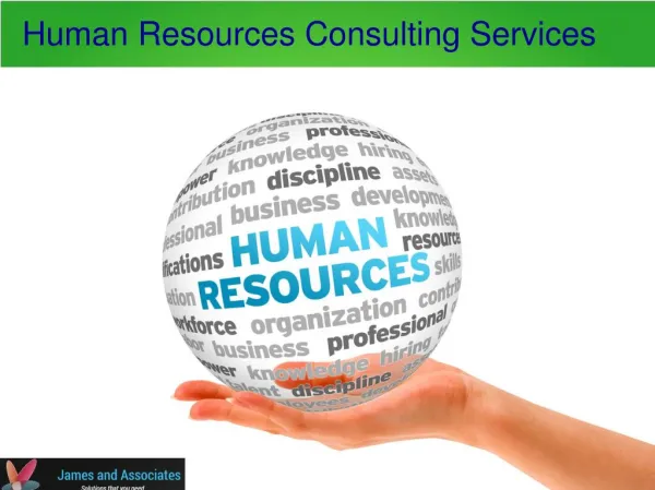 HR consultancy services for your business in sint maarten