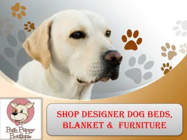Shop designer dog beds, blanket & furniture
