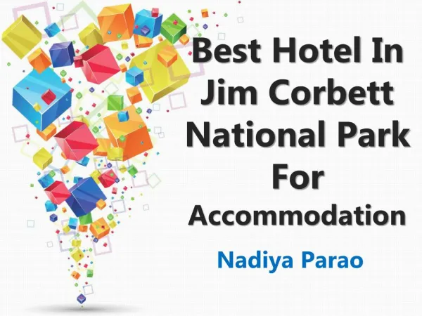 Best Hotel In Jim Corbett National Park For Accommodation