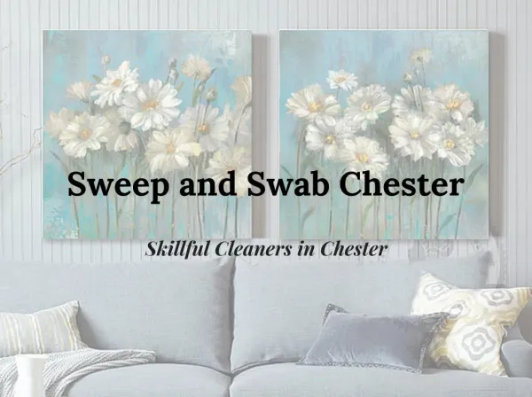 Sweep and Swab Chester