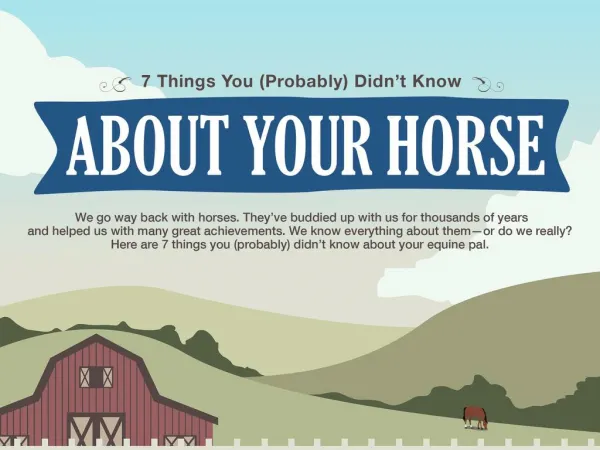 7 Things You Probably Didn't Know About Your Horse