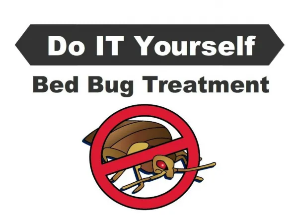 Do-It-Yourself Bed Bug Treatment