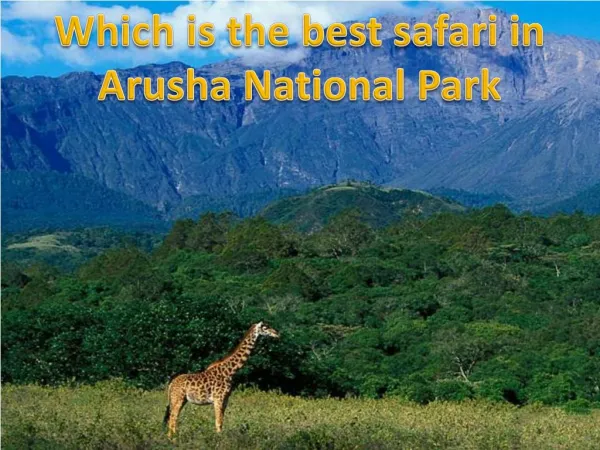 Which is the best safari in Arusha National Park