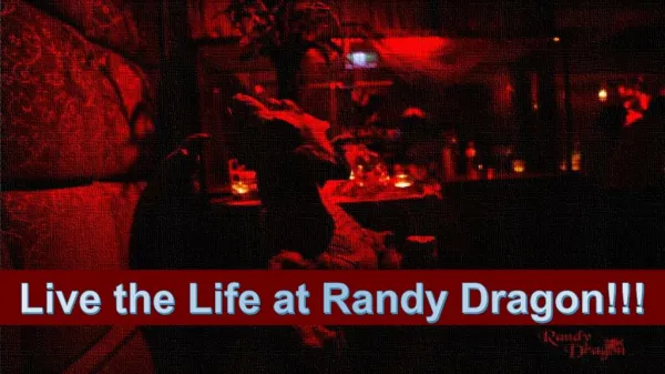 Randy Dragon - Private Function Rooms & Birthday Venue Hiring in Melbourne