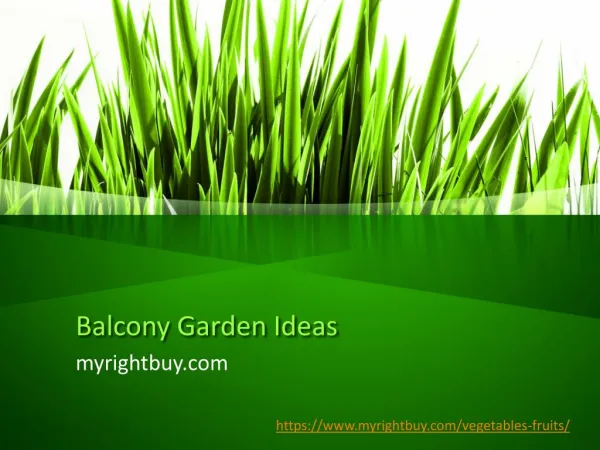 Tips for Balcony Garden and Terrace Garden