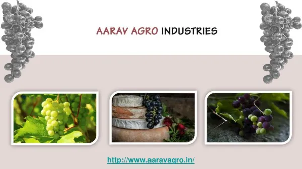 Black Dry Grapes - Aarav Agro