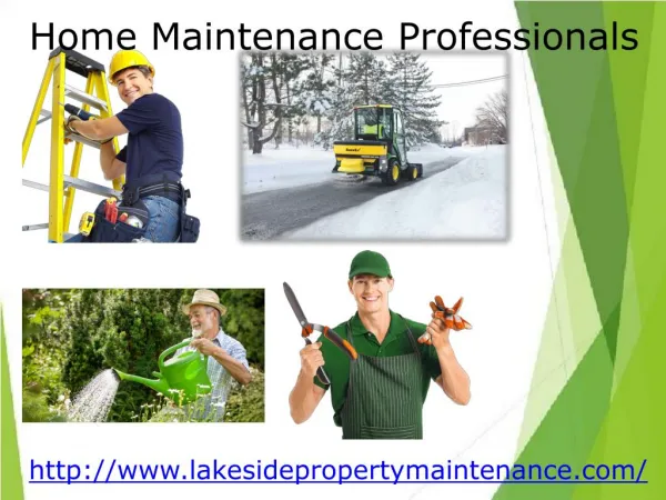 Home maintenance professionals tahoe