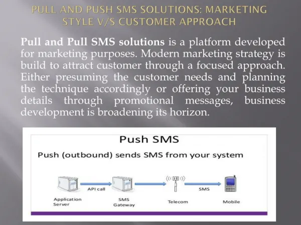 Pull and Push SMS Solutions: Marketing Style V/s Customer
