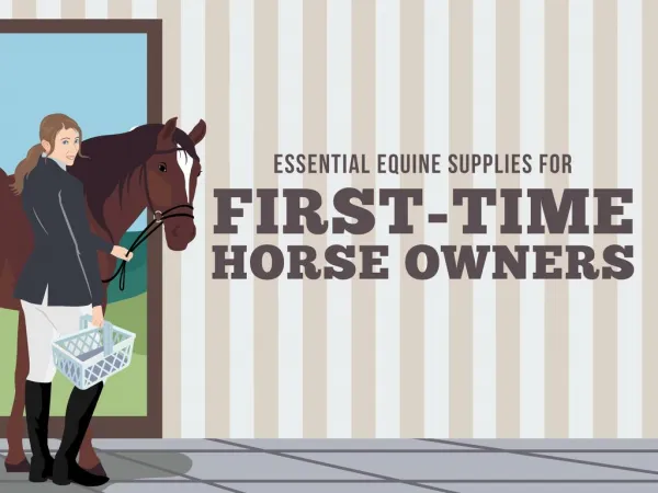 Essential Equine Supplies for First-Time Home Owners