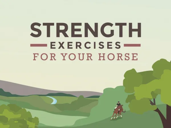 Strength Exercises for Your Horse