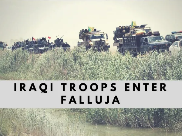 Iraqi troops enter Falluja