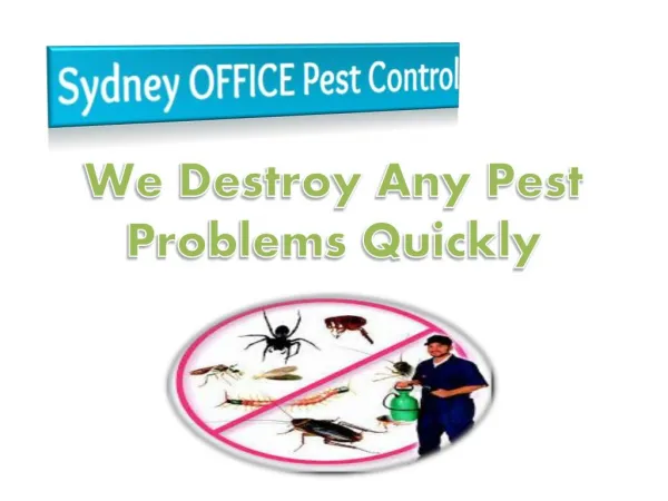 We Destroy Any Pest Problems Quickly