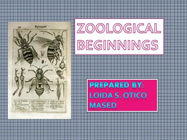 History of Zoology