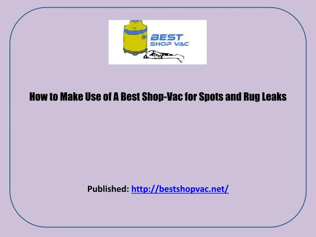 how to make use of a best shop vac for spots and rug leaks