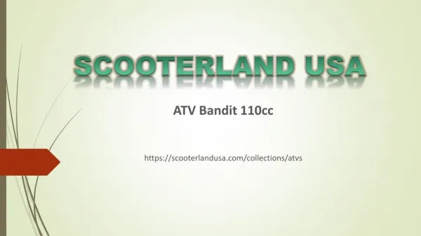 Scooterland USA - Buy ATV Bandit 110cc