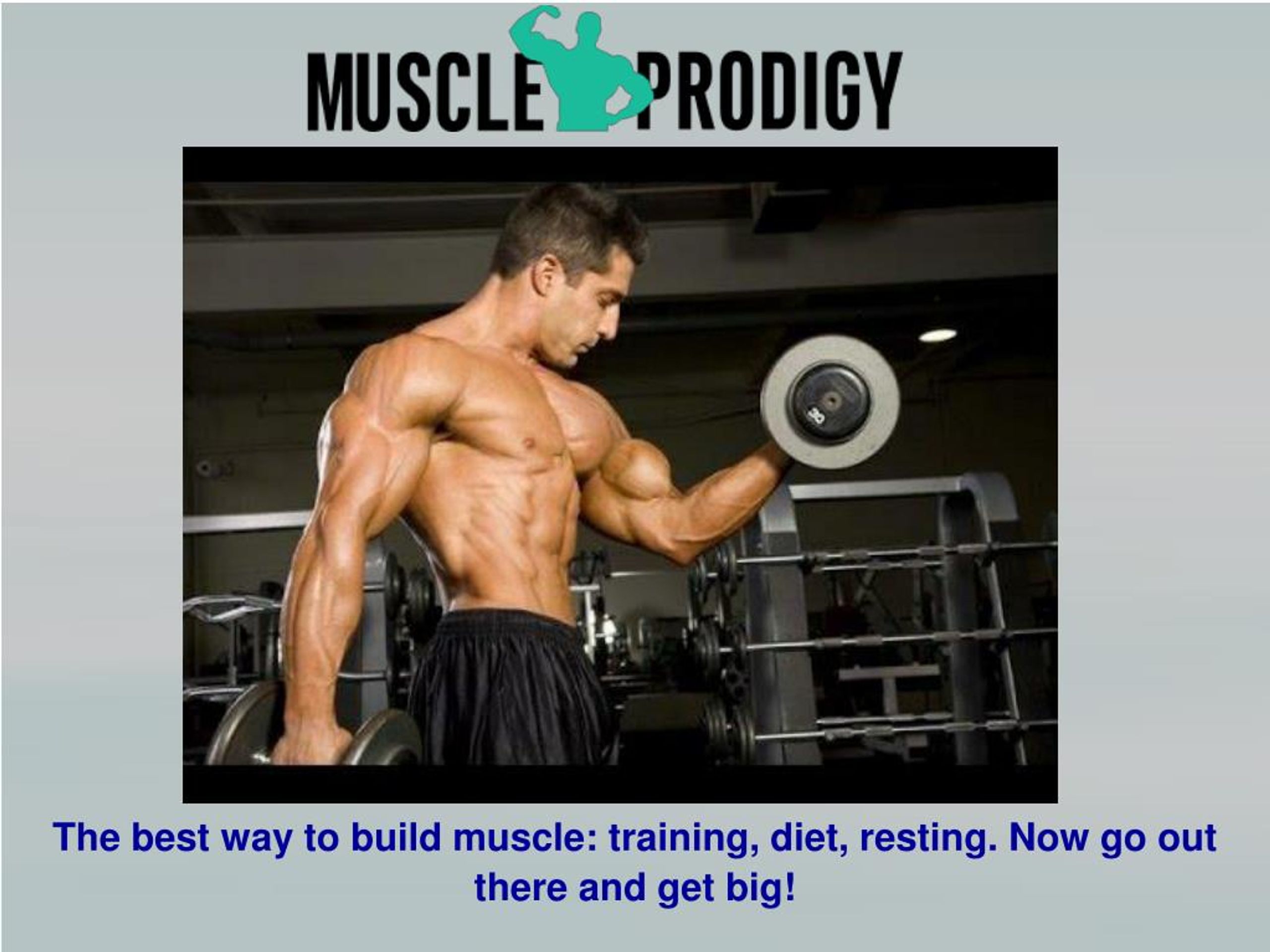 PPT - How To Build Biceps And Triceps PowerPoint Presentation, free ...