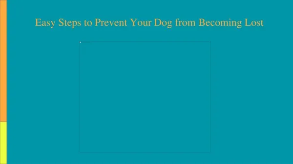 Easy Steps to Prevent Your Dog from Becoming Lost