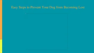 Easy Steps to Prevent Your Dog from Becoming Lost - slide 1