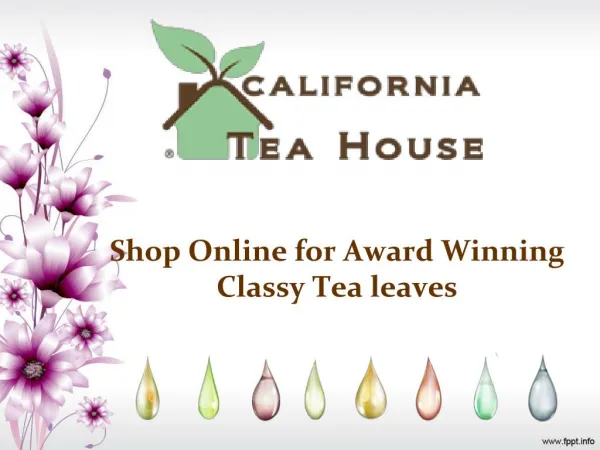 Shop Online for Award Winning Classy Tea leaves