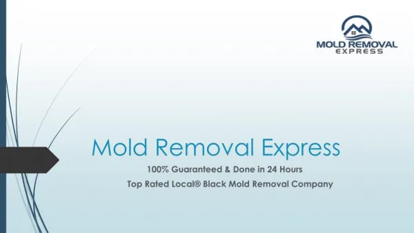 Affordable and 100% guaranteed mold removal