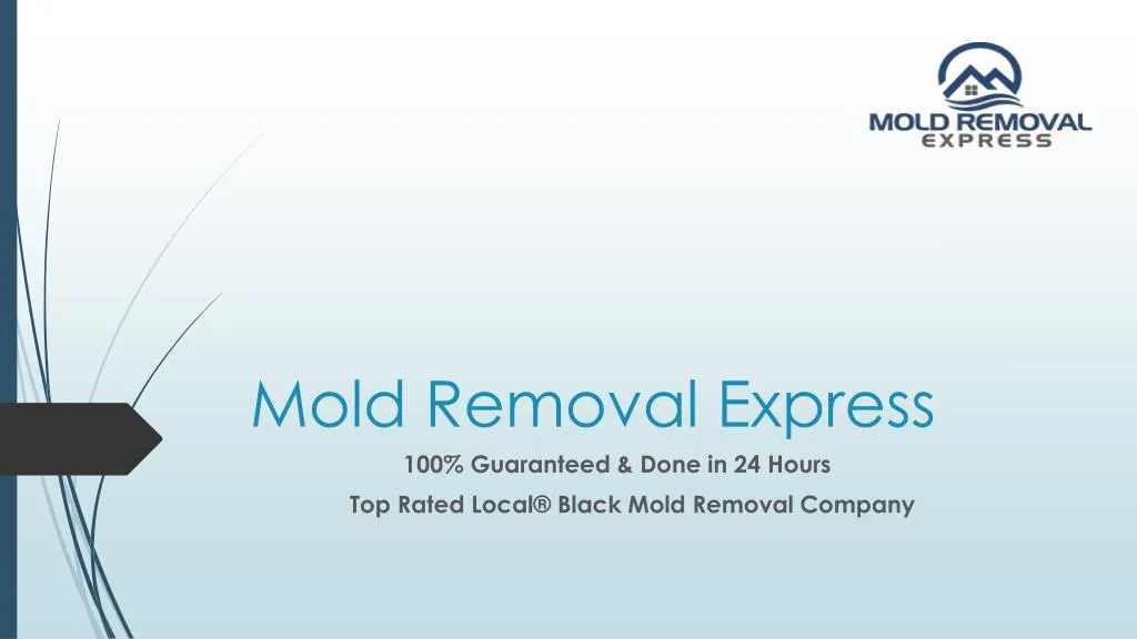 mold removal express