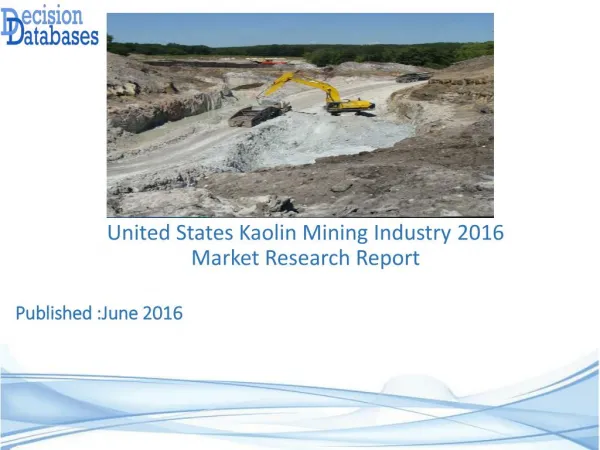 United States Kaolin Mining Industry Analysis and Revenue Forecast 2016
