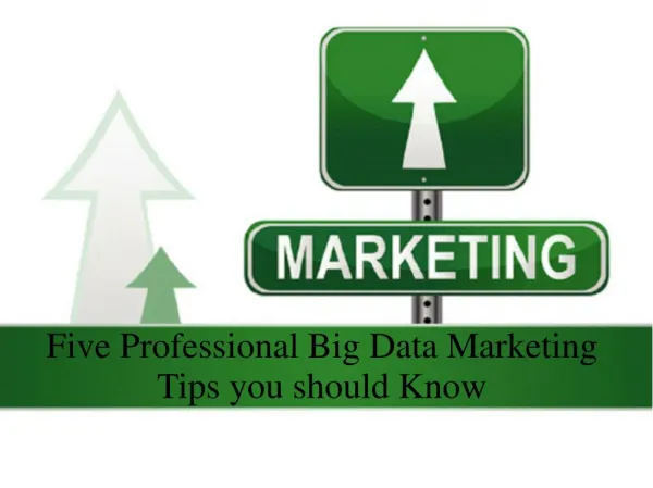 Five Professional Big Data Marketing Tips you should Know