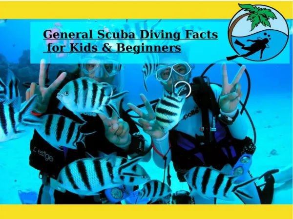 General Scuba Diving Facts for Kids & Beginners