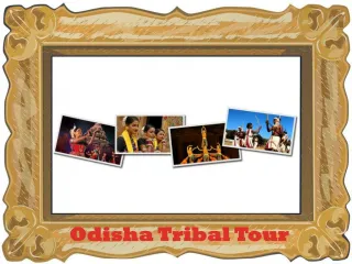 Odisha Tribal Tour - slide 1