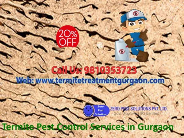 Call Termite Pest Control Services in Gurgaon on 9810353723