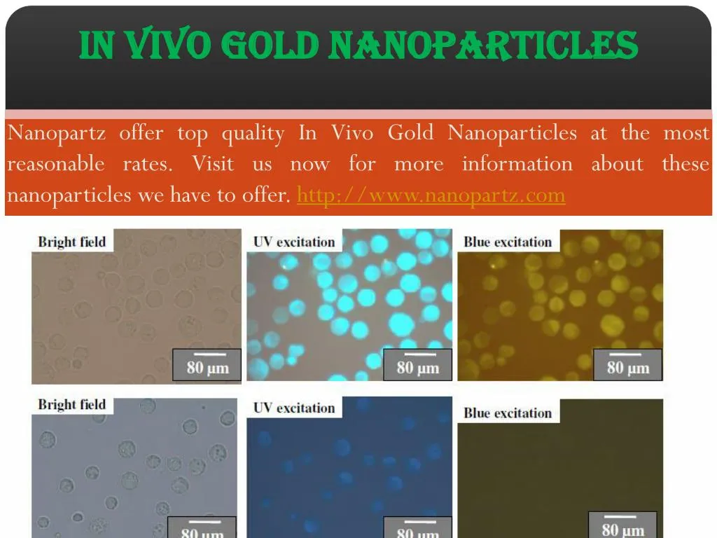 in vivo gold nanoparticles