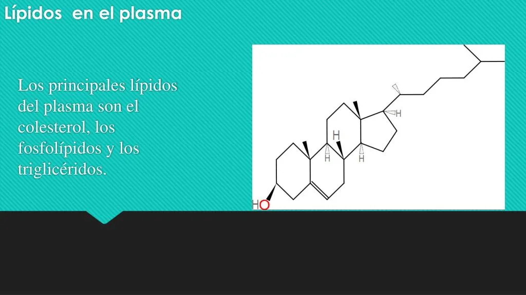 los principales l pidos del plasma son el colesterol los fosfol pidos y los triglic ridos