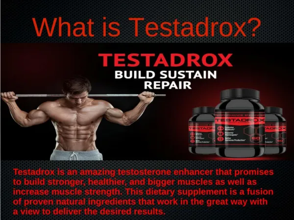Testadrox Avail Risk-Free Trial Pack