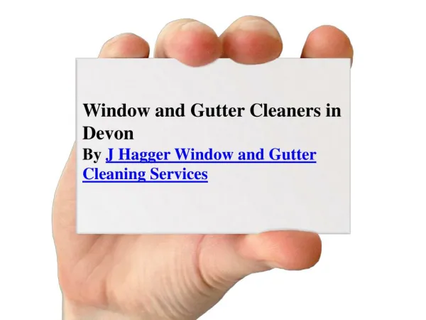 Window Cleaners and Gutter Cleaners in Devon