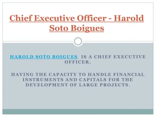 Chief Executive Officer - Harold Soto Boigues