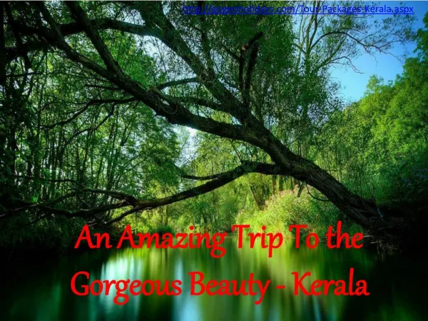 Have an Exotic trip to Kerala