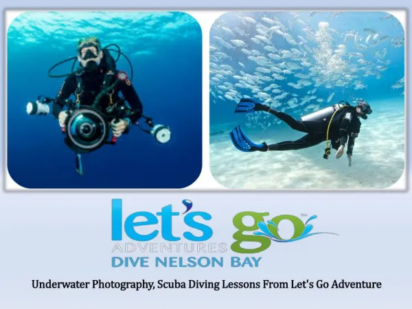 Underwater Photography, Scuba Diving Lessons From Let's Go Adventure