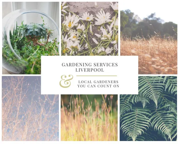 Gardening Services Liverpool