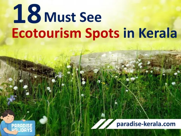 18 Must See Ecotourism spots in Kerala