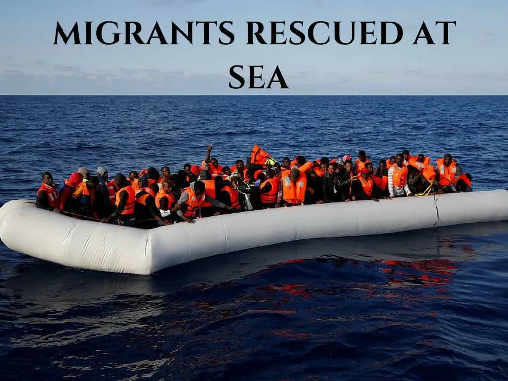 vagrants protected at sea