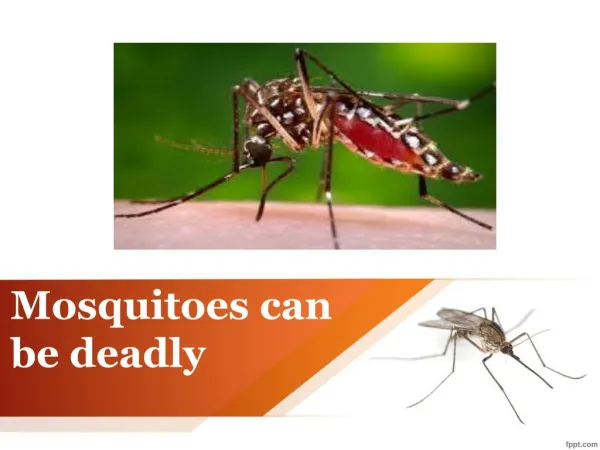 Mosquitoes can be deadly