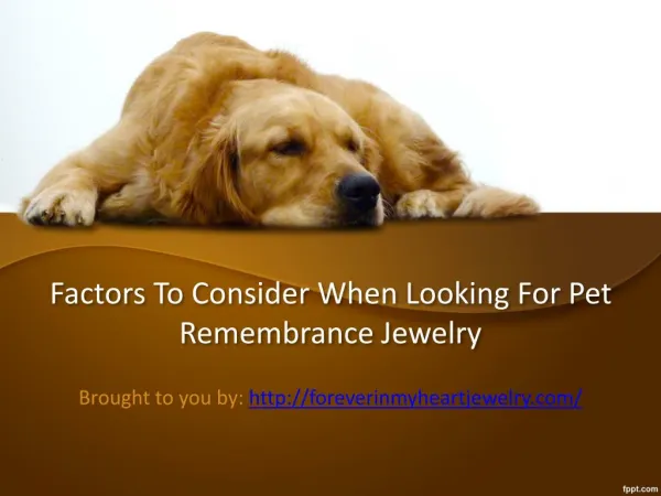 Factors To Consider When Looking For Pet Remembrance Jewelry