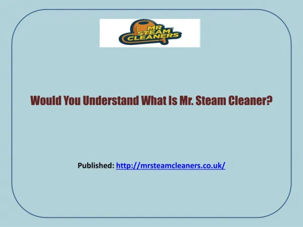 Best Steam Cleaner Reviews