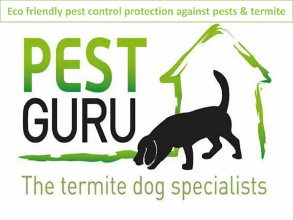 Pest Inspection Gold Coast