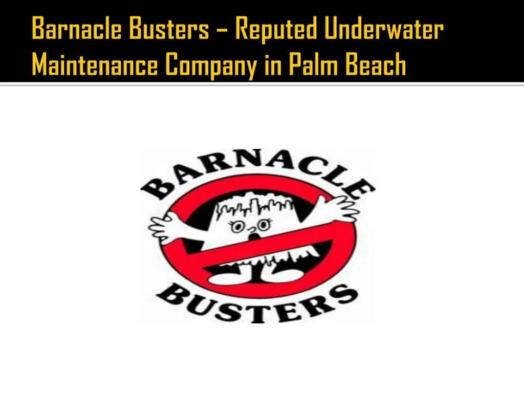 barnacle busters reputed underwater maintenance company in palm beach