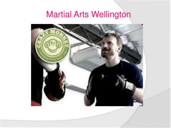 martial arts Wellington